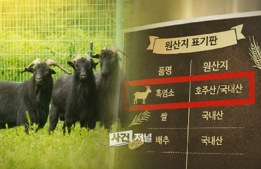 ChatGPT Image 2026년 7월 8일 오후 04_13_10.png