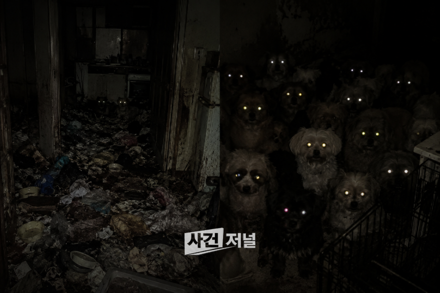 ChatGPT Image 2026년 7월 14일 오후 12_15_27.png