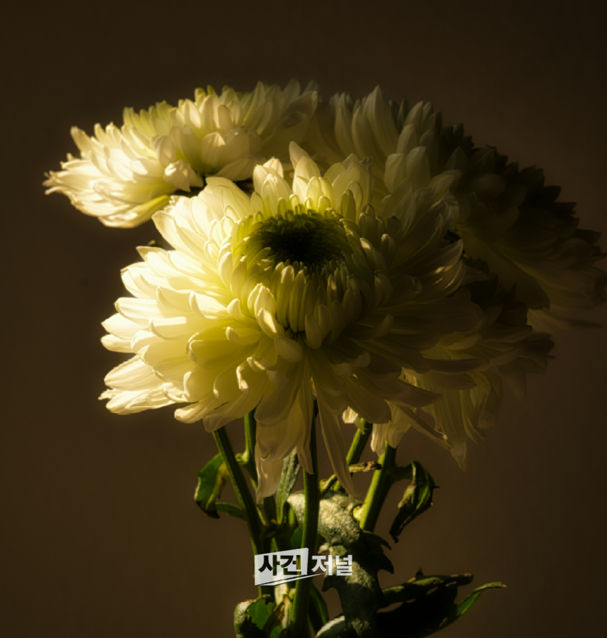 ChatGPT Image 2026년 7월 15일 오전 09_36_48.png
