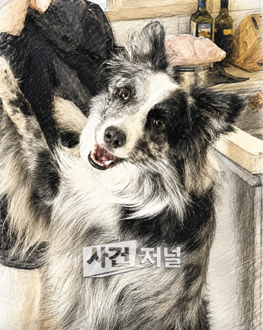 ChatGPT Image 2026년 7월 22일 오전 10_56_53.png