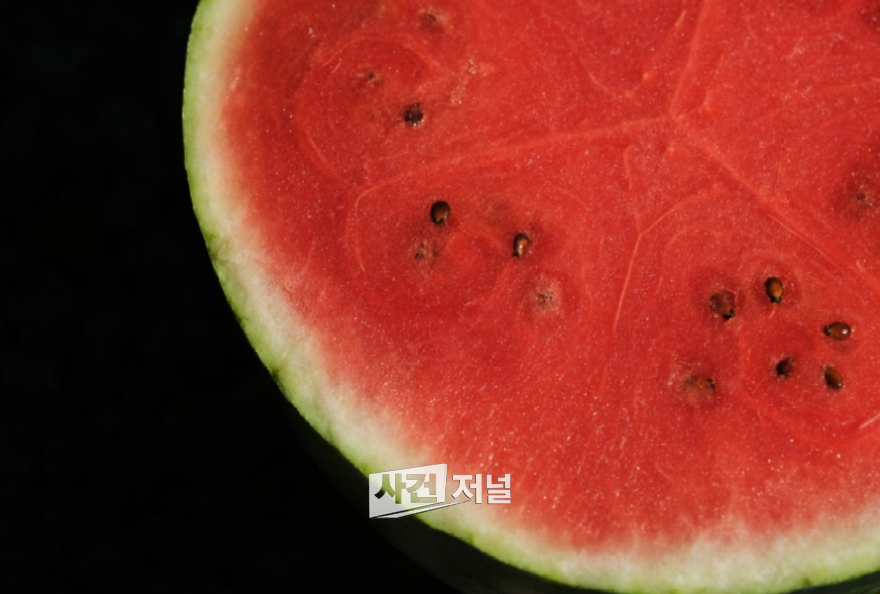 ChatGPT Image 2026년 7월 23일 오전 10_32_06.png
