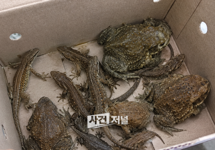 열혈변호사30.png