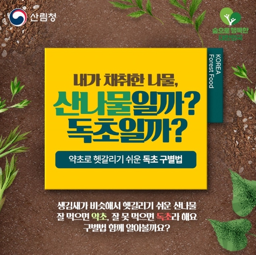 산림청, 내가 채취한 나물, 산나물일까? 독초일까?