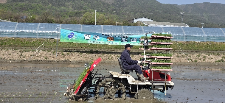 양구, 첫 모내기 행사…올해 농사 시작 알렸다