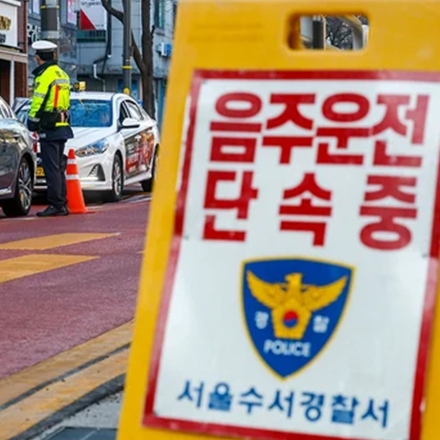 음주단속 도주하며 경찰차 충돌…30대 항소심도 실형