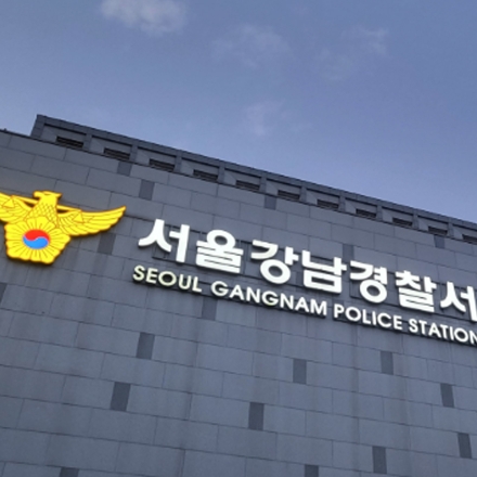 강남 한복판서 여성 무차별 폭행…20대 남성 구속