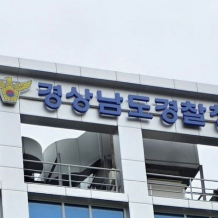 음주운전자 노려 고의사고…2억 챙긴 보험사기 일당 검거