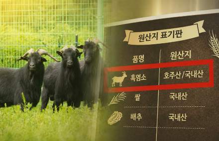 호주산 염소탕을 국내산 둔갑 판매…원산지 위반 10곳 적발